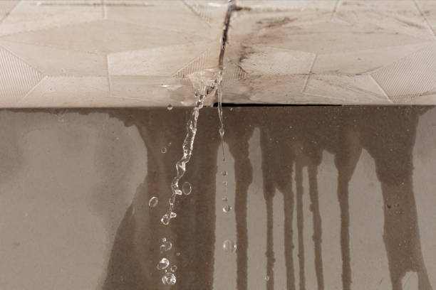Professional Water Damage Inspection technician working in Burton, OH